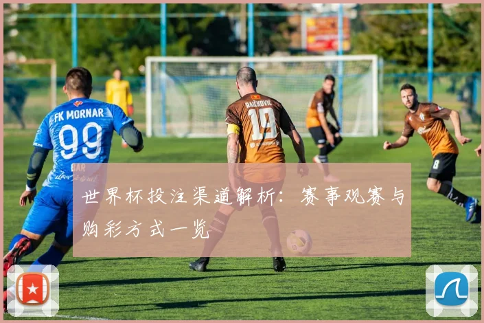 世界杯投注渠道解析：赛事观赛与购彩方式一览