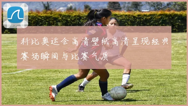科比奥运会高清壁纸高清呈现经典赛场瞬间与比赛气质
