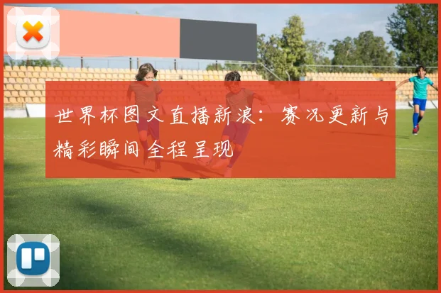 世界杯图文直播新浪：赛况更新与精彩瞬间全程呈现