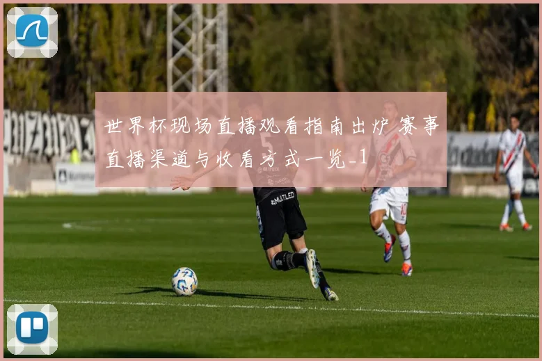 世界杯现场直播观看指南出炉 赛事直播渠道与收看方式一览_1
