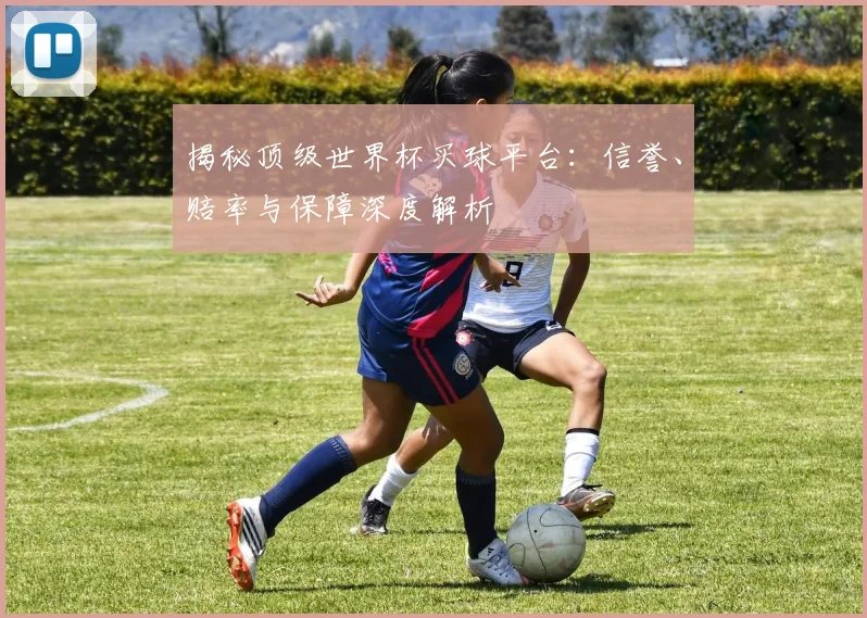 揭秘顶级世界杯买球平台：信誉、赔率与保障深度解析