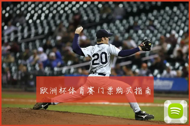 欧洲杯体育赛门票购买指南