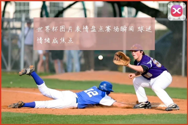 世界杯图片表情盘点赛场瞬间 球迷情绪成焦点