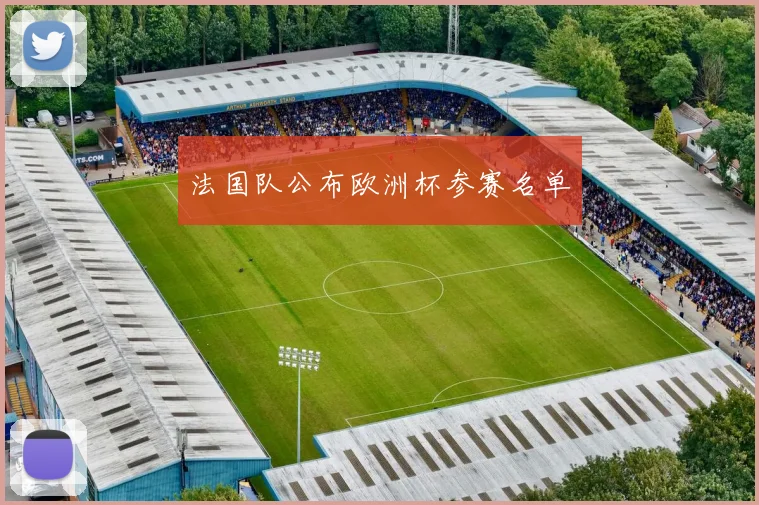 法国队公布欧洲杯参赛名单