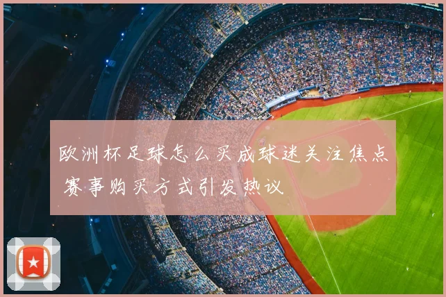 欧洲杯足球怎么买成球迷关注焦点 赛事购买方式引发热议