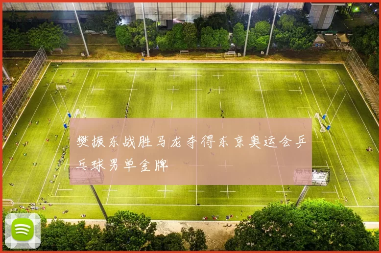 樊振东战胜马龙夺得东京奥运会乒乓球男单金牌