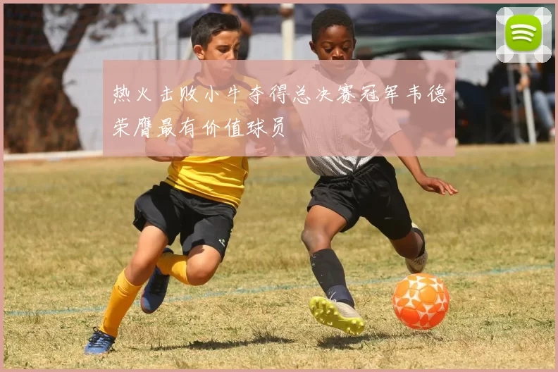 热火击败小牛夺得总决赛冠军韦德荣膺最有价值球员
