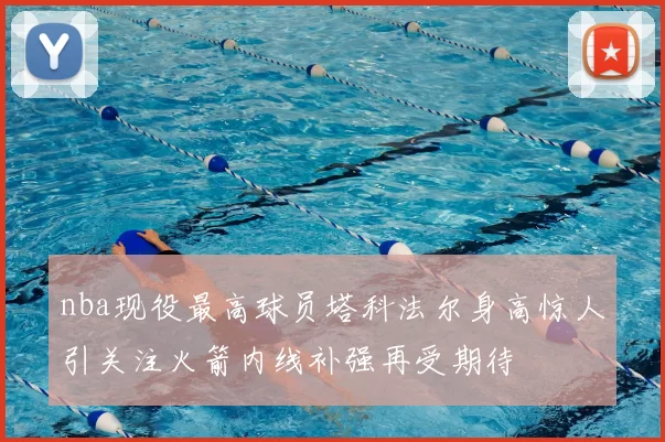 nba现役最高球员塔科法尔身高惊人引关注火箭内线补强再受期待