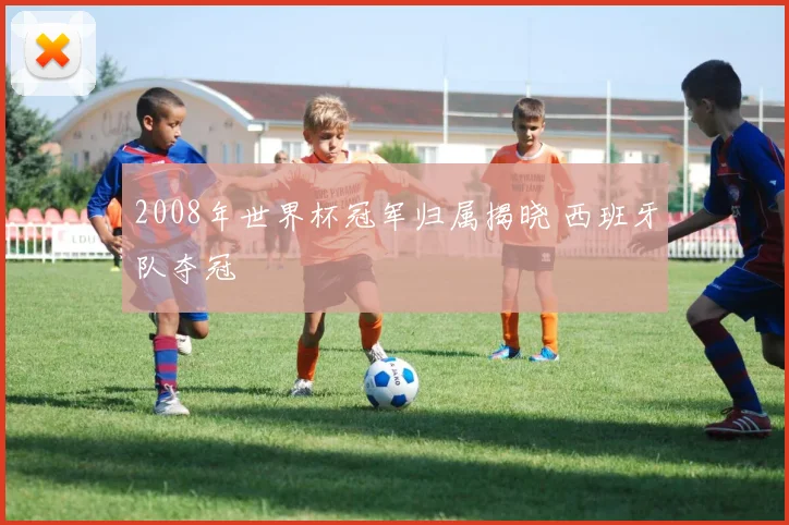 2008年世界杯冠军归属揭晓 西班牙队夺冠
