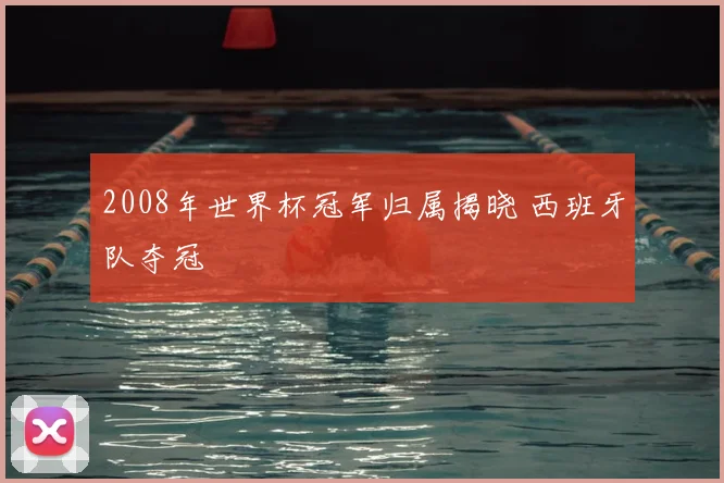 2008年世界杯冠军归属揭晓 西班牙队夺冠